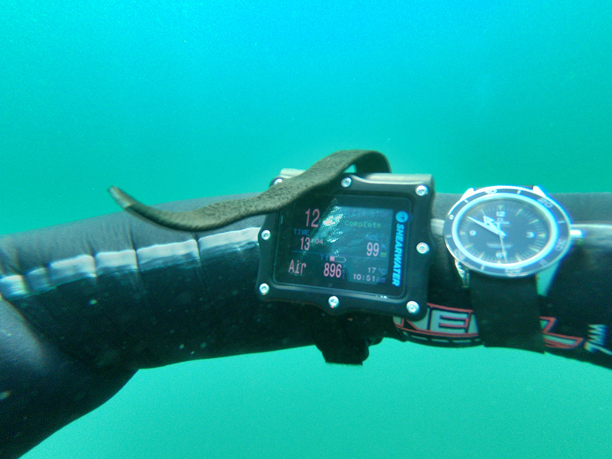 Omega Seamaster and Dive Computer