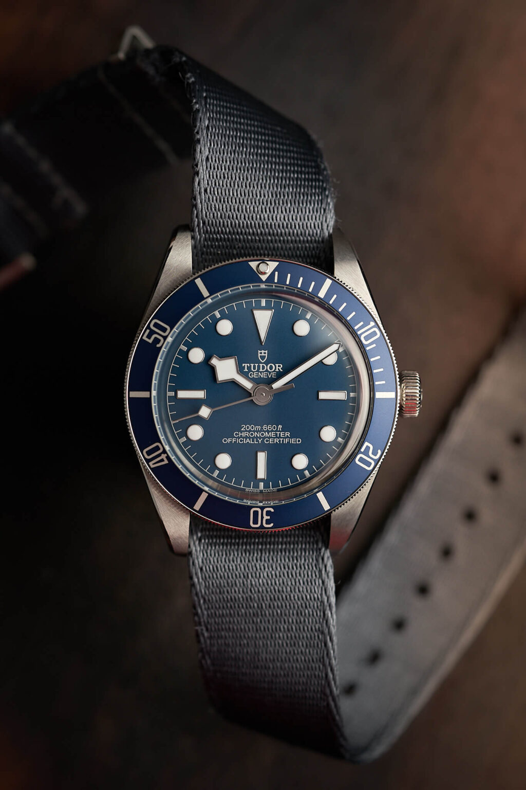 black bay tudor blue