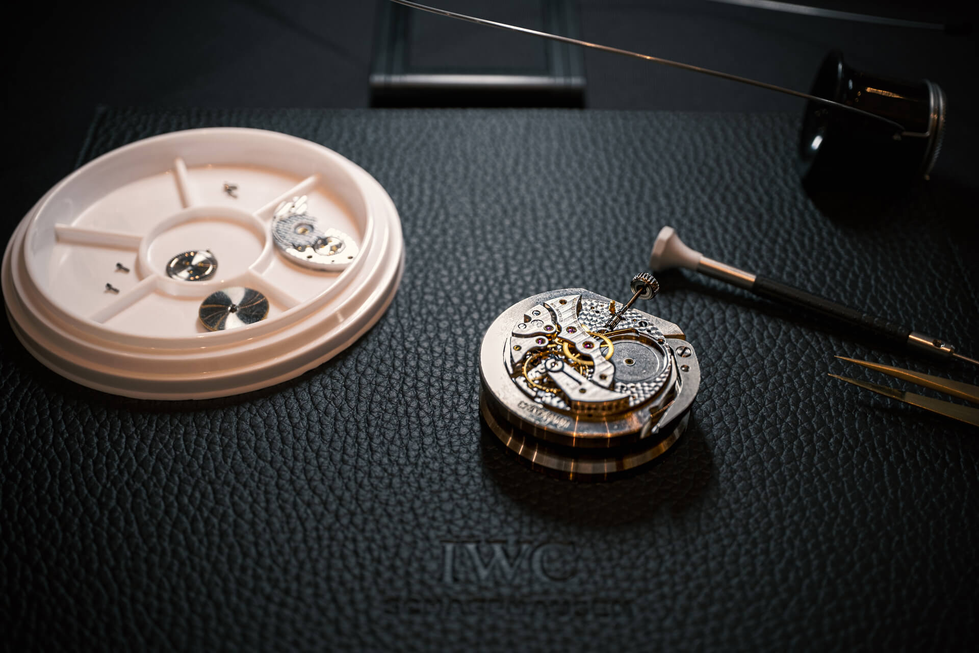 iwc watchmaking course (9)