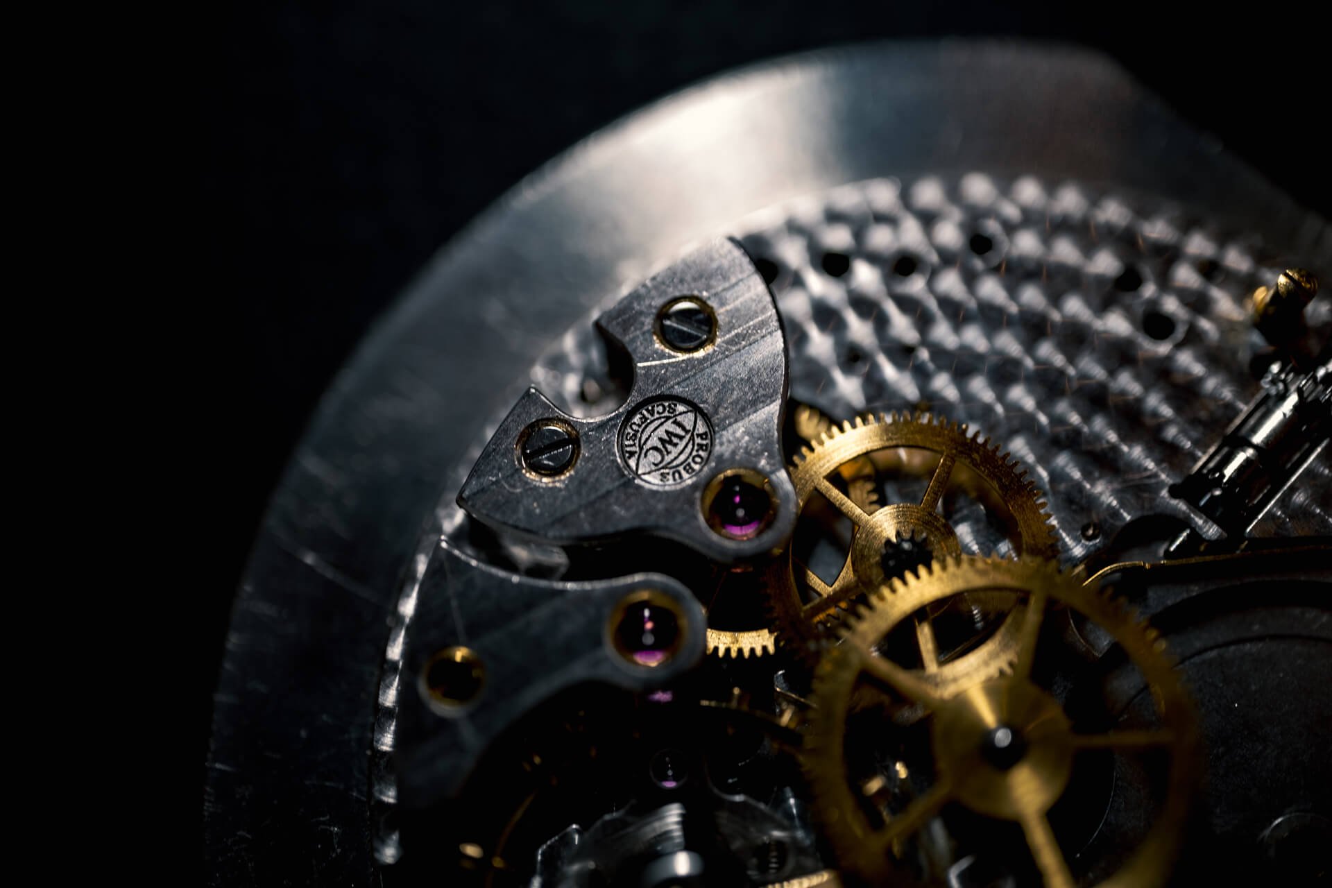 iwc watchmaking course (11)
